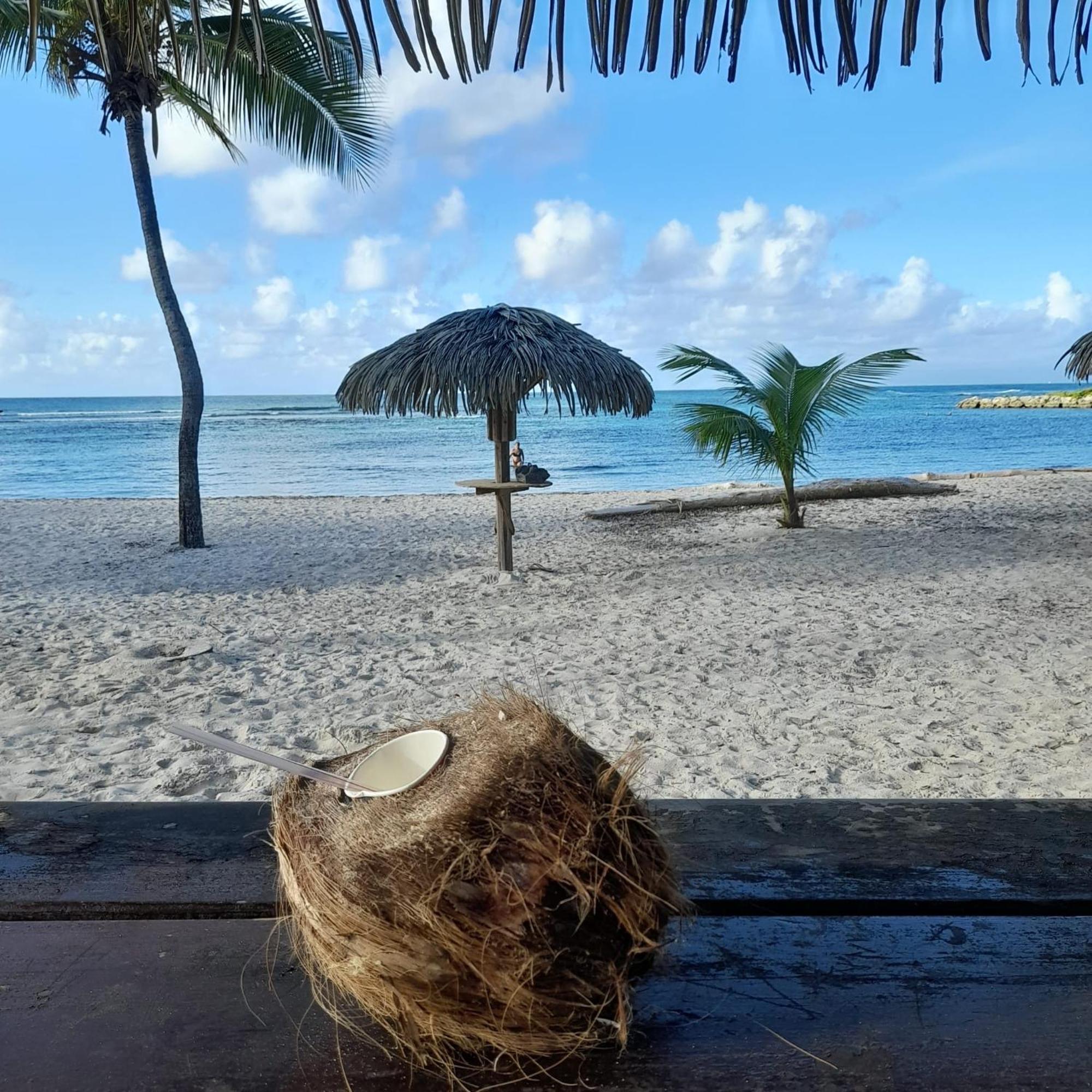Appartement Bumbu 626 Anse Des Rochers Saint-Francois  Exteriör bild